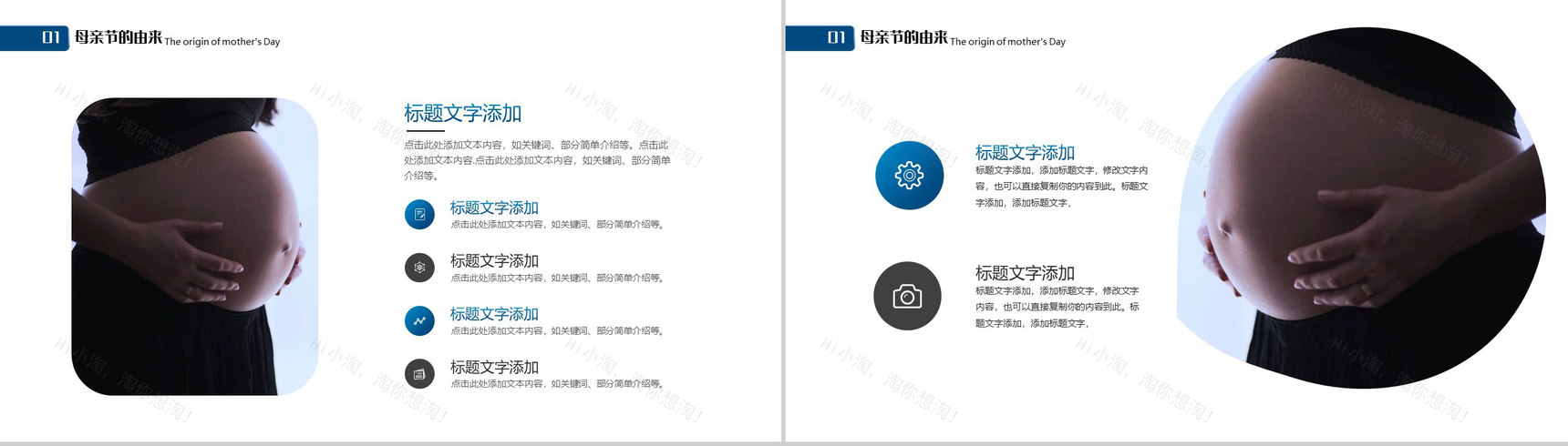 致敬伟大的母亲感恩母亲节PPT模板-3