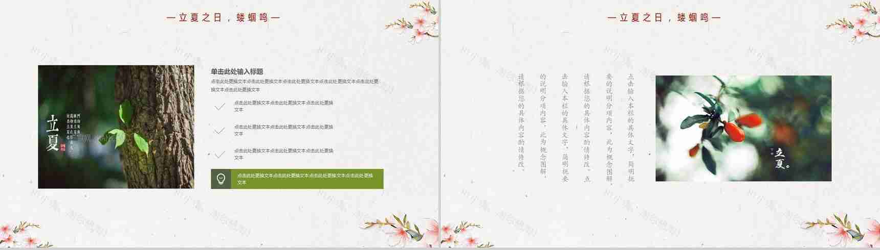 传统节气立夏节气教育讲座PPT模板-6