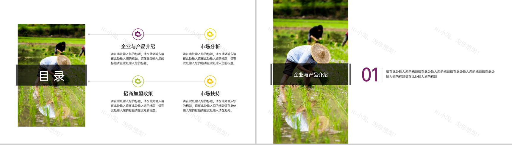 简洁杂志风五一劳动节农业招商加盟宣讲会PPT模板-2