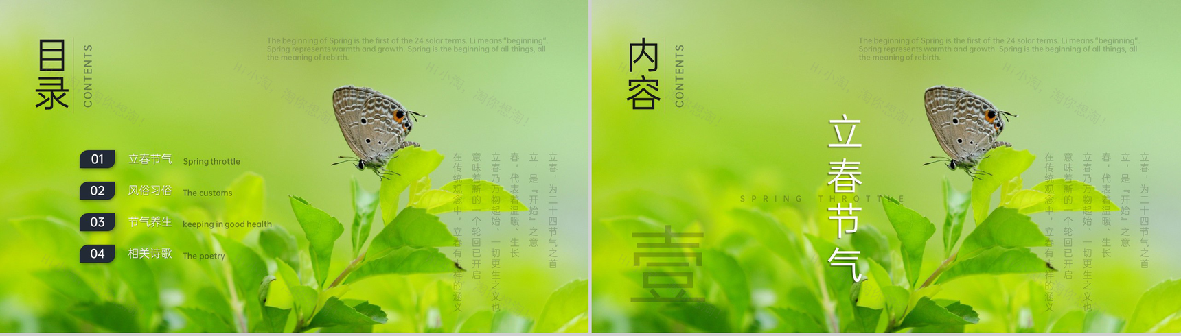 绿色简约风立春节气传统文化介绍PPT模板-2