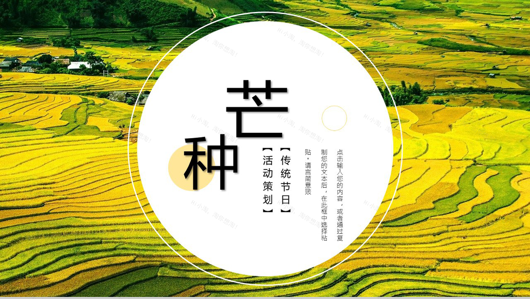 二十四节气芒种主题活动介绍PPT模板-1