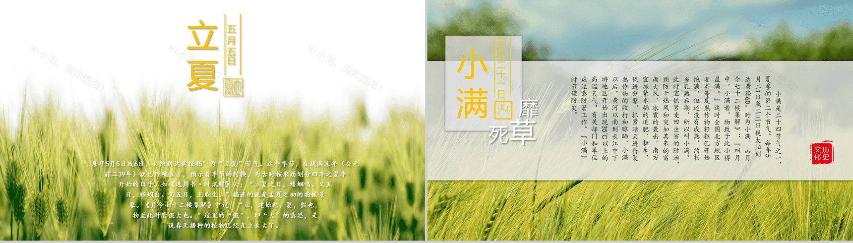 简约中国风动态二十四节气介绍PPT模板-5