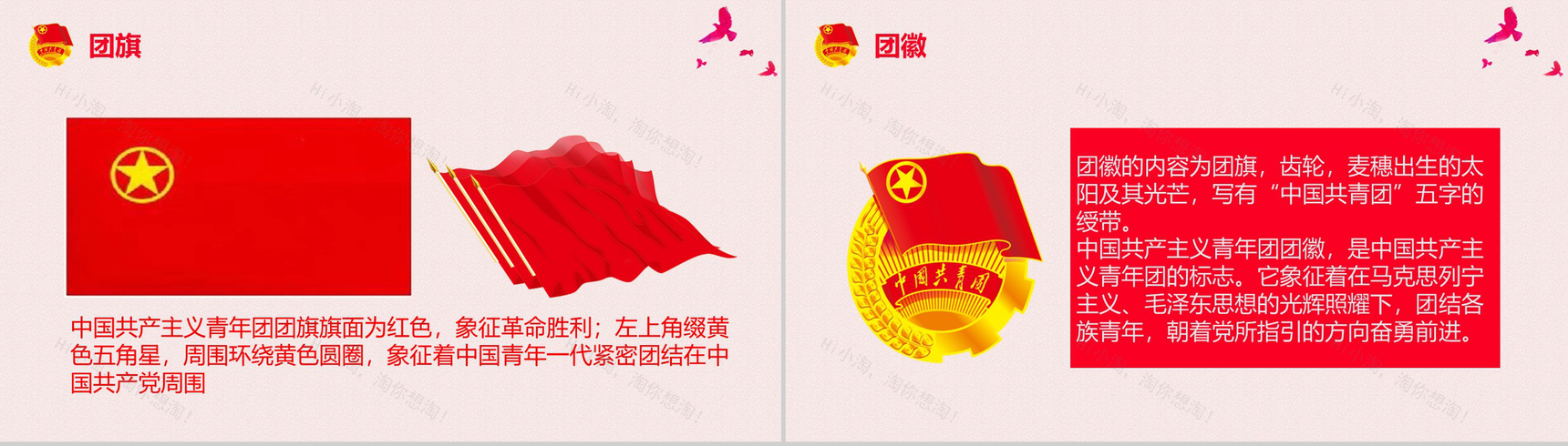 庄严大气共青团团组织团日活动PPT模板-7