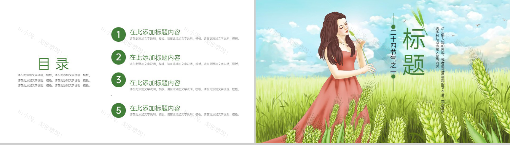 绿色手绘风二十四节气小满节气介绍总结PPT模板-2