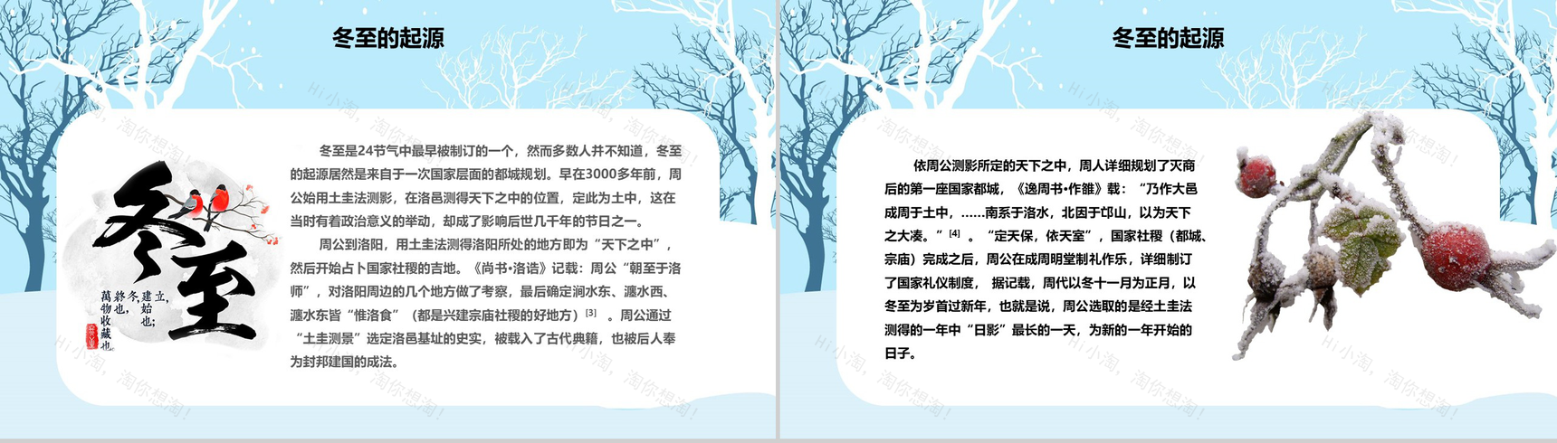 小清新风格冬至活动宣传策划PPT模板-5