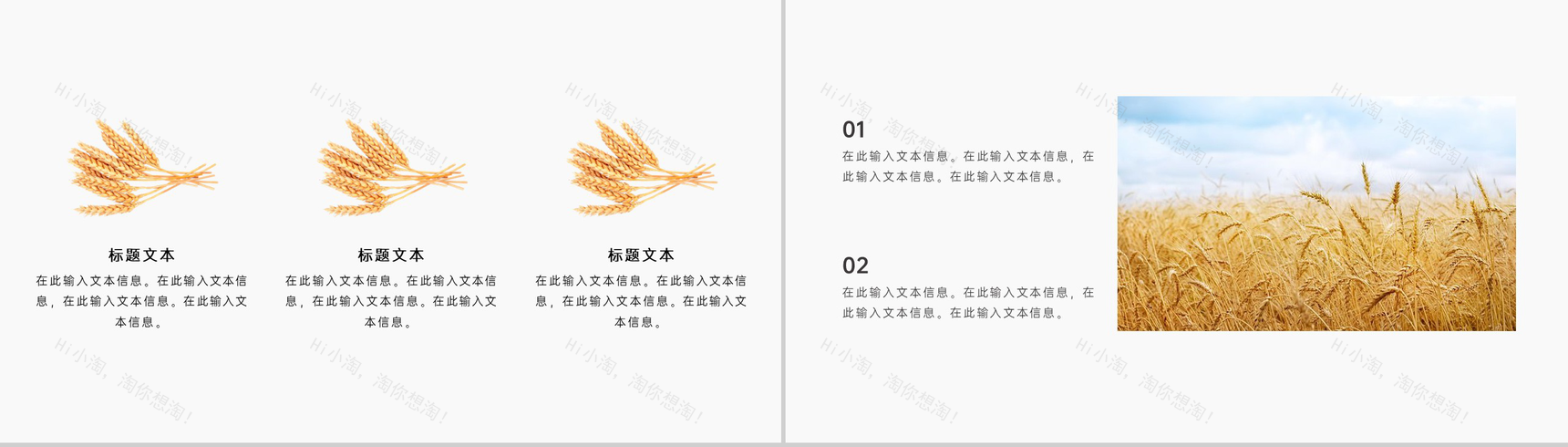 金色稻香风二十四节气小满由来背景介绍PPT模板-5