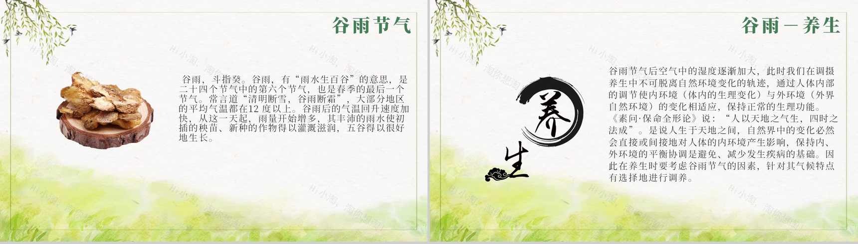 二十四节气养生清明中国传统节日谷雨PPT模板-4