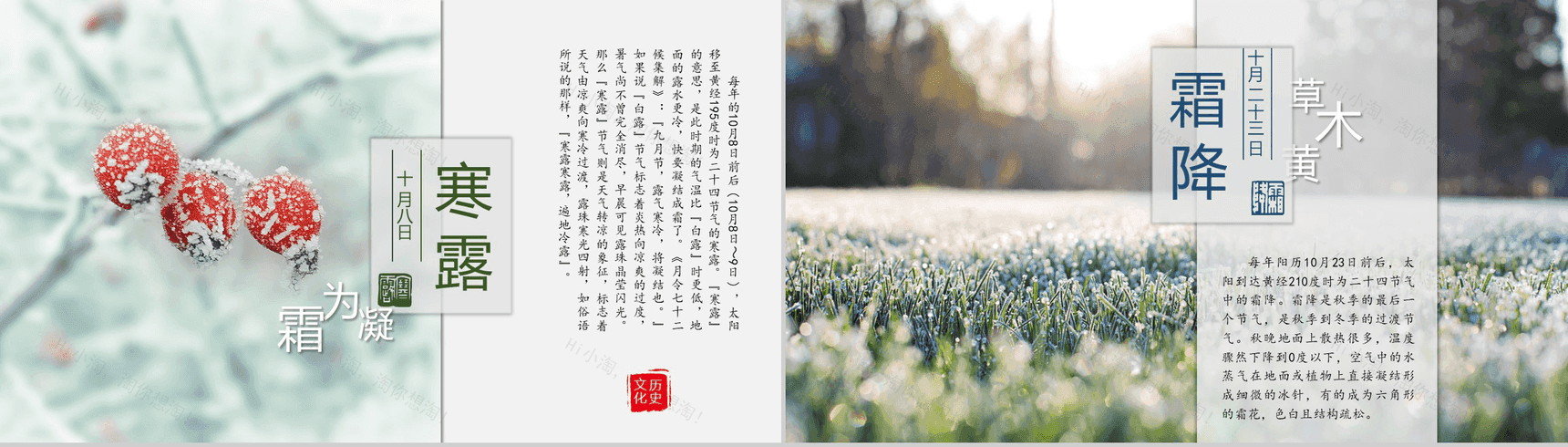 简约中国风动态二十四节气介绍PPT模板-10