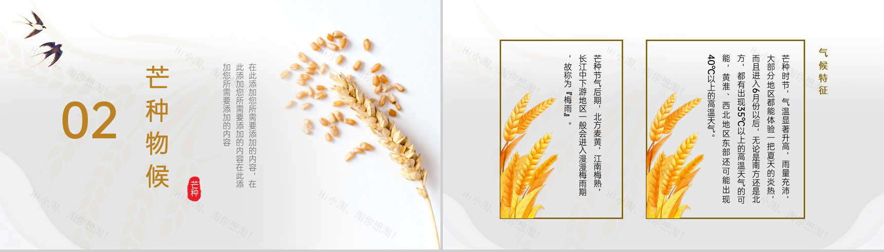 黄色中国风二十四节气之芒种文化与养生PPT模板-4