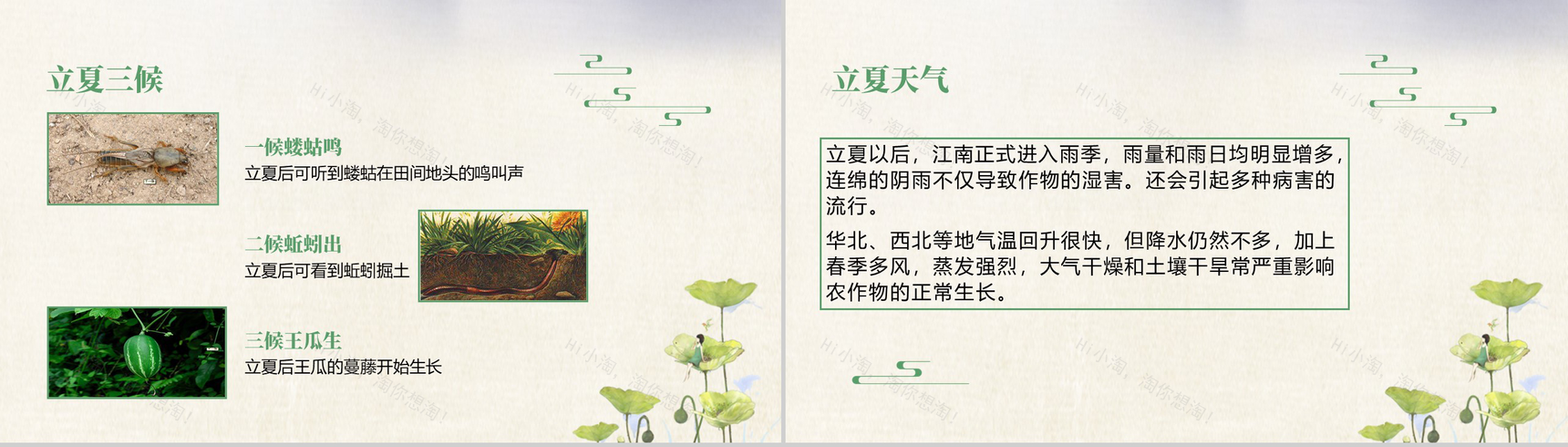 清新简约传统二十四节气之立夏简介PPT模板-3