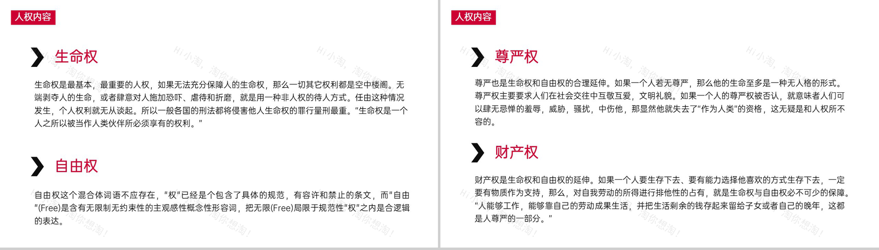 白色简约世界人权日介绍人权立法主题宣讲PPT模板-9