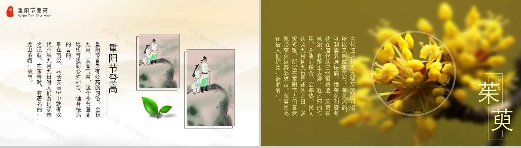 大气中国传统节日重阳节关爱老人PPT模板-5