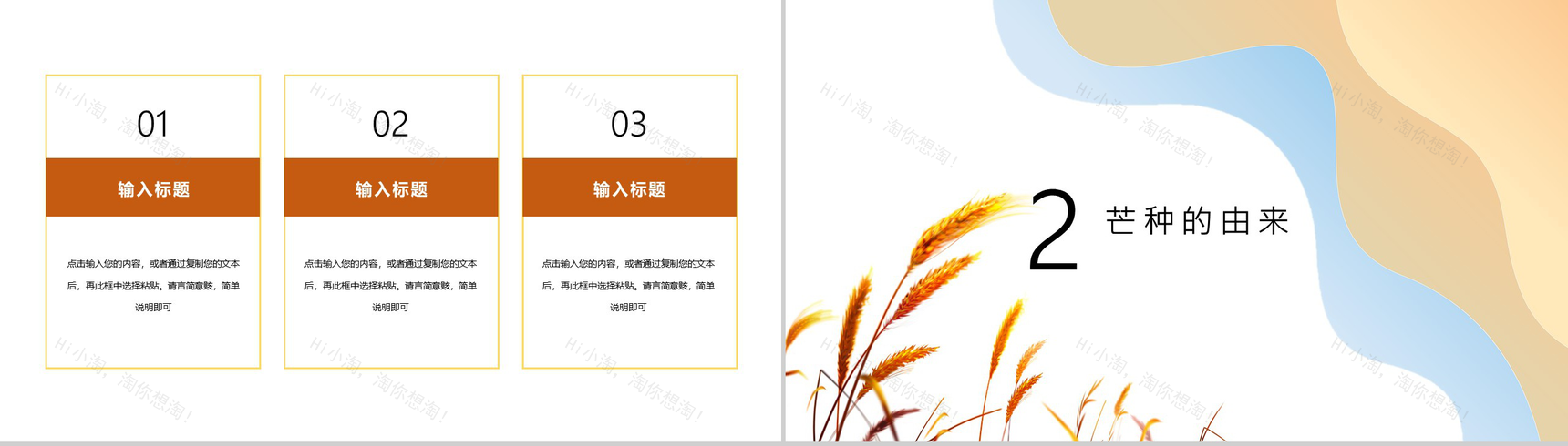 中国传统习俗芒种由来介绍PPT模板-4