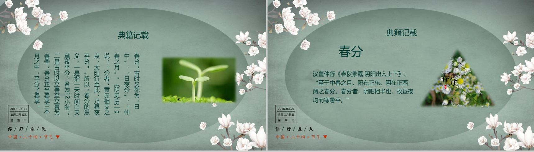 中国二十四节气春分主题班会PPT模板-9
