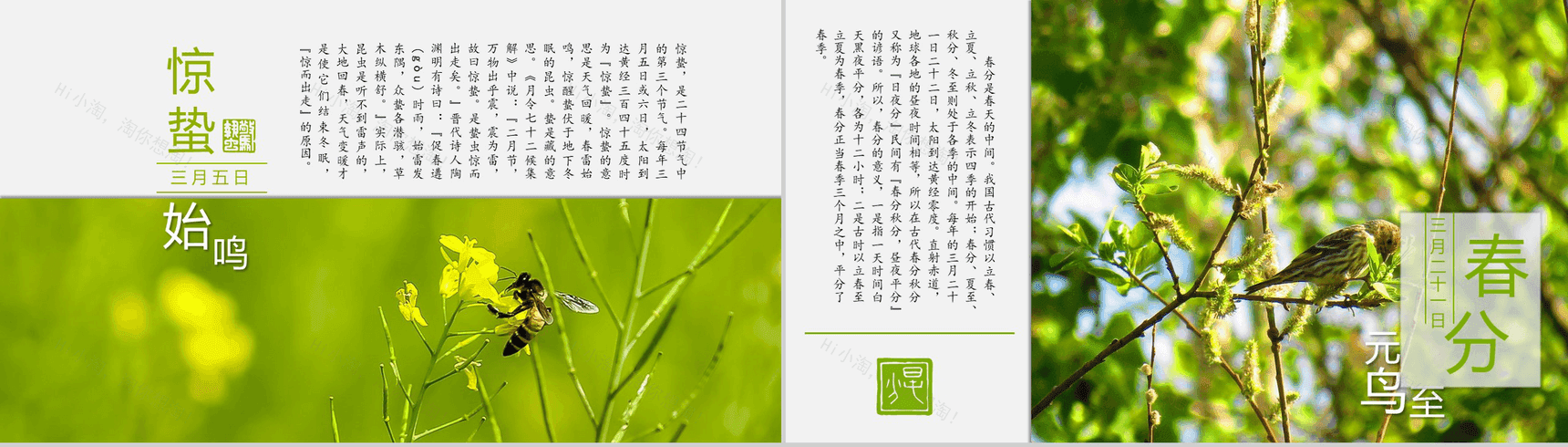 简约中国风动态二十四节气介绍PPT模板-3