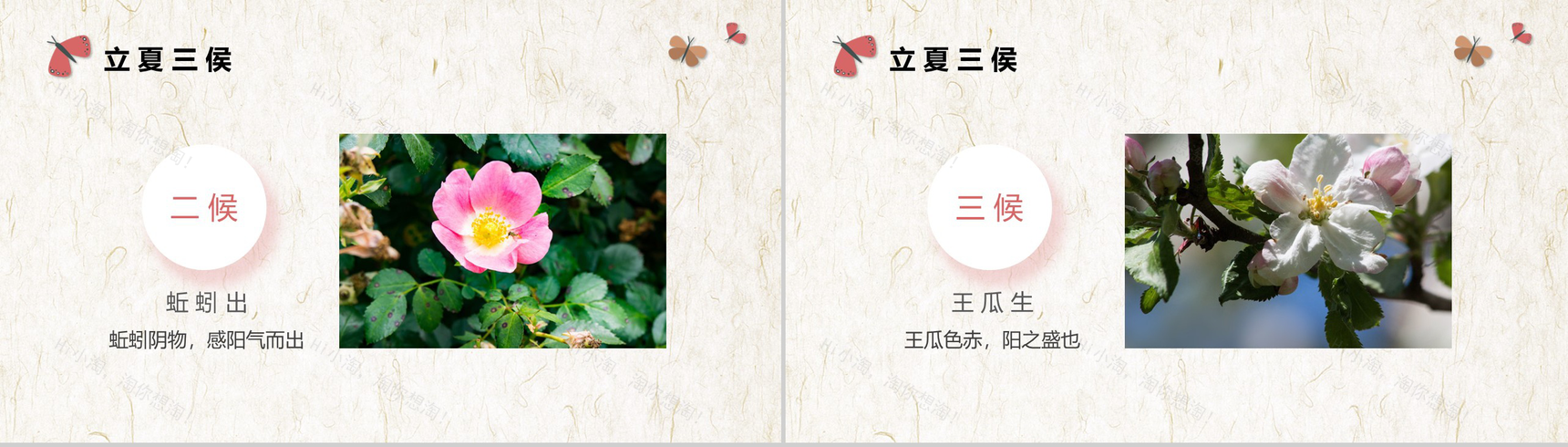 水墨中国风二十四节气之立夏来了立夏养生PPT-5