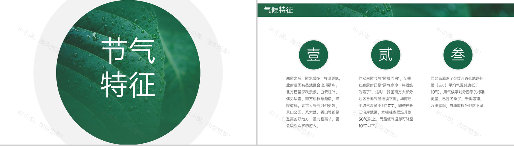 绿色简约小清新风二十四节气介绍之寒露的由来PPT模板-5