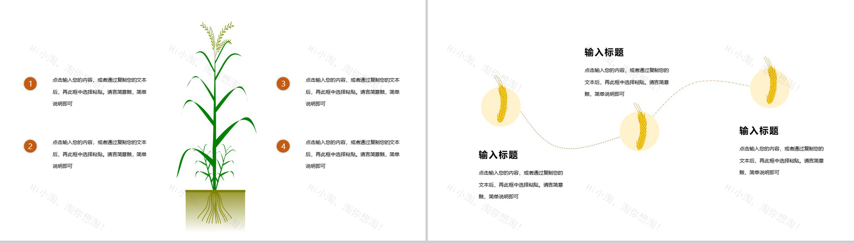 中国传统习俗芒种由来介绍PPT模板-5