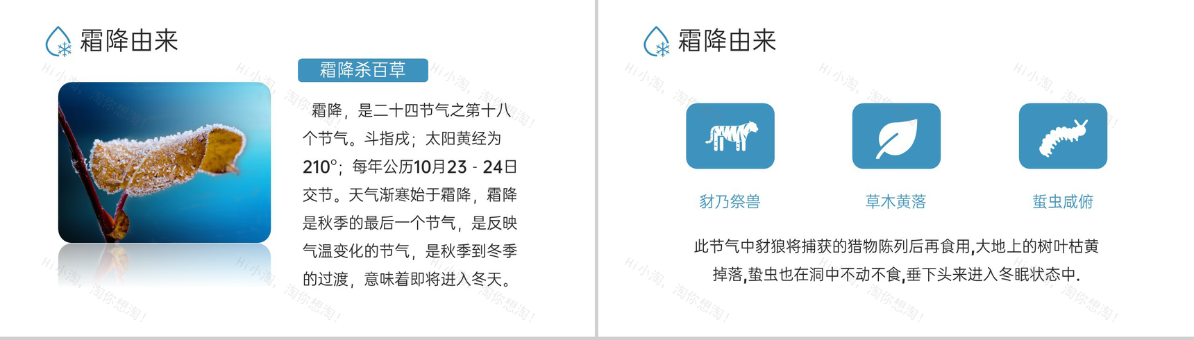 蓝色小清新风二十四节气霜降节气霜降的习俗PPT模板-3