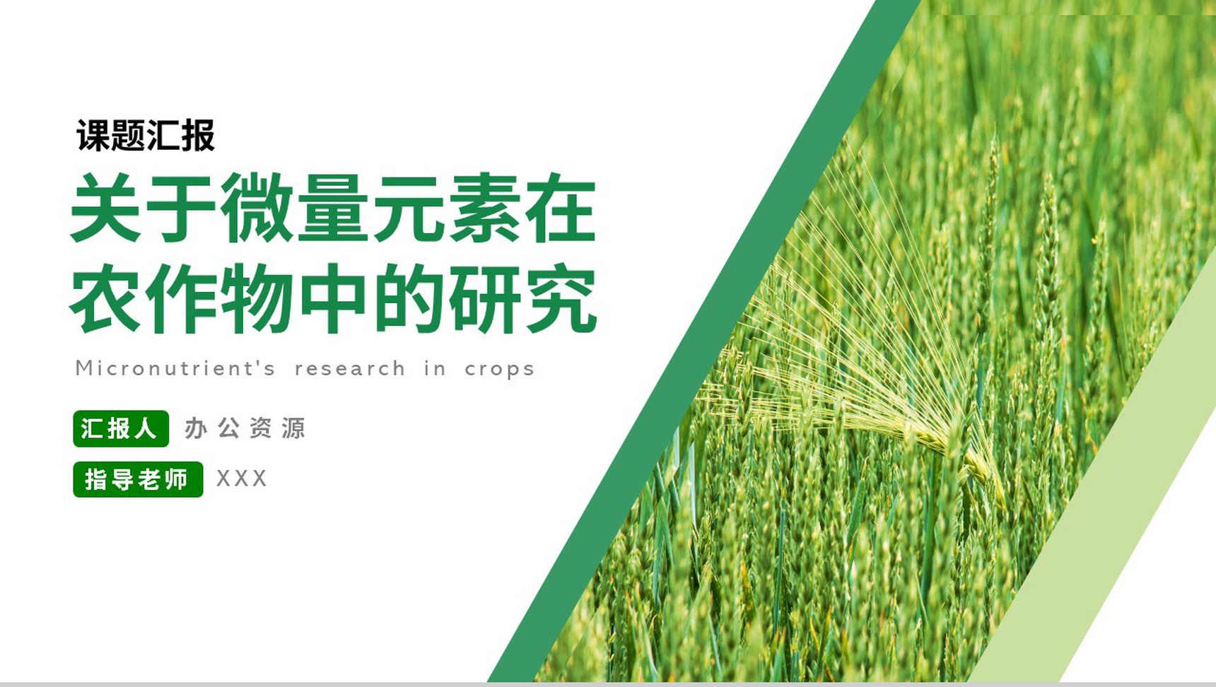 关于微量元素在农作物中的研究论文答辩PPT模板