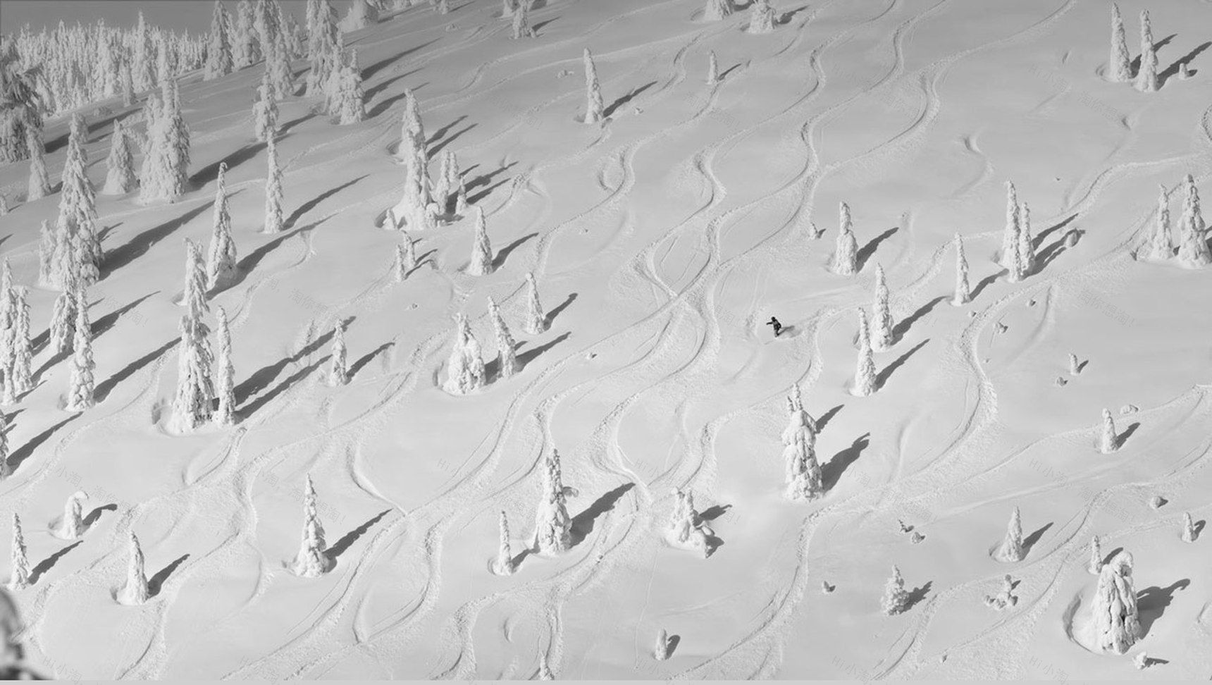 毕业论文中期报告答辩技巧PPT模板-11