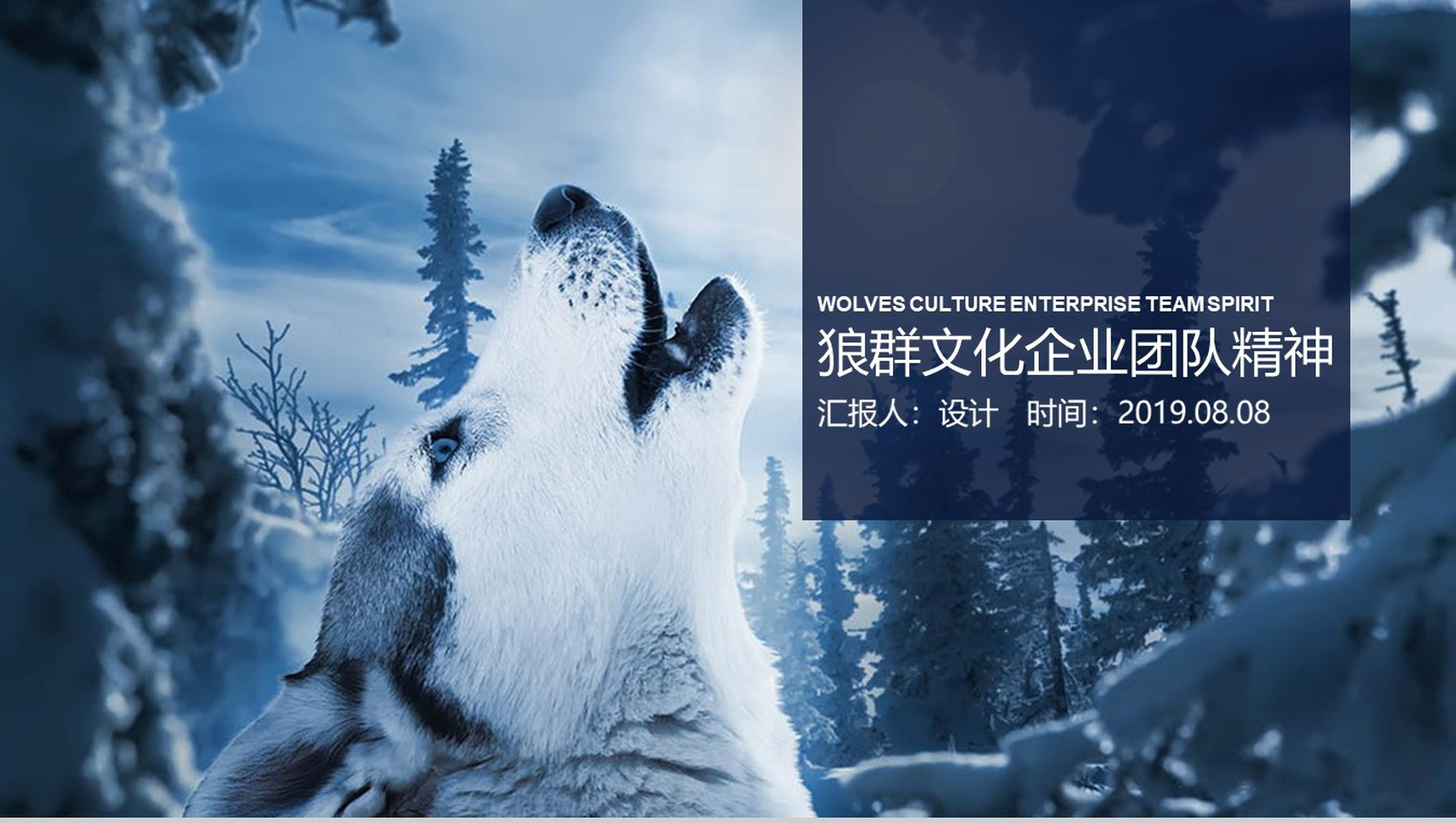 狼群文化企业团队精神建设PPT模板