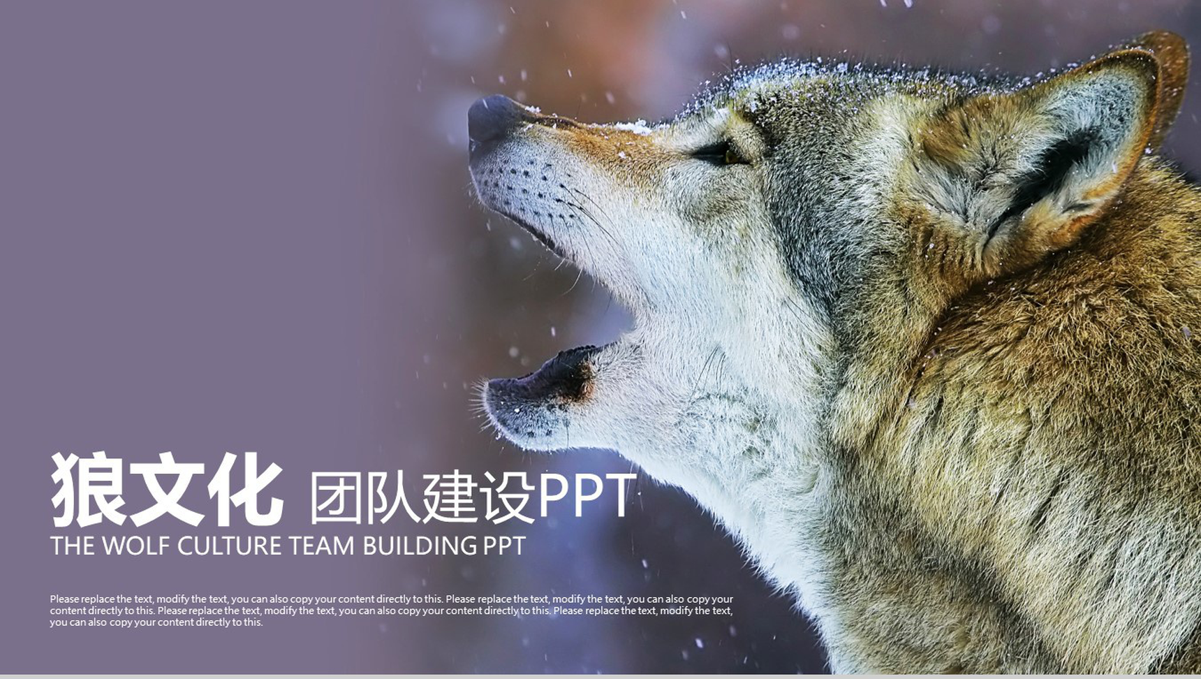 商务简约狼文化团队建设PPT模板