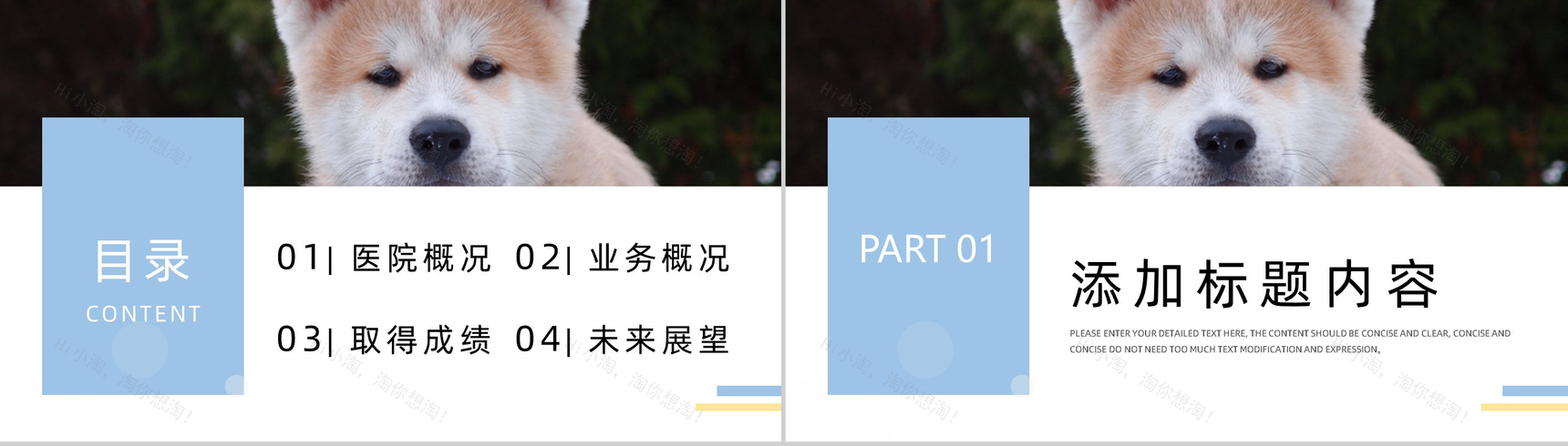 简约撞色宠物医院介绍PPT模板-2