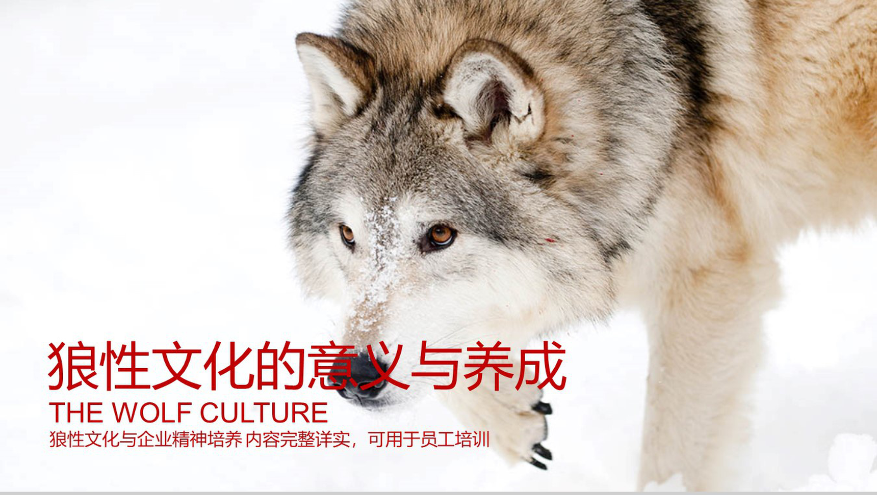 企业文化团队精神培训员工培训PPT模板