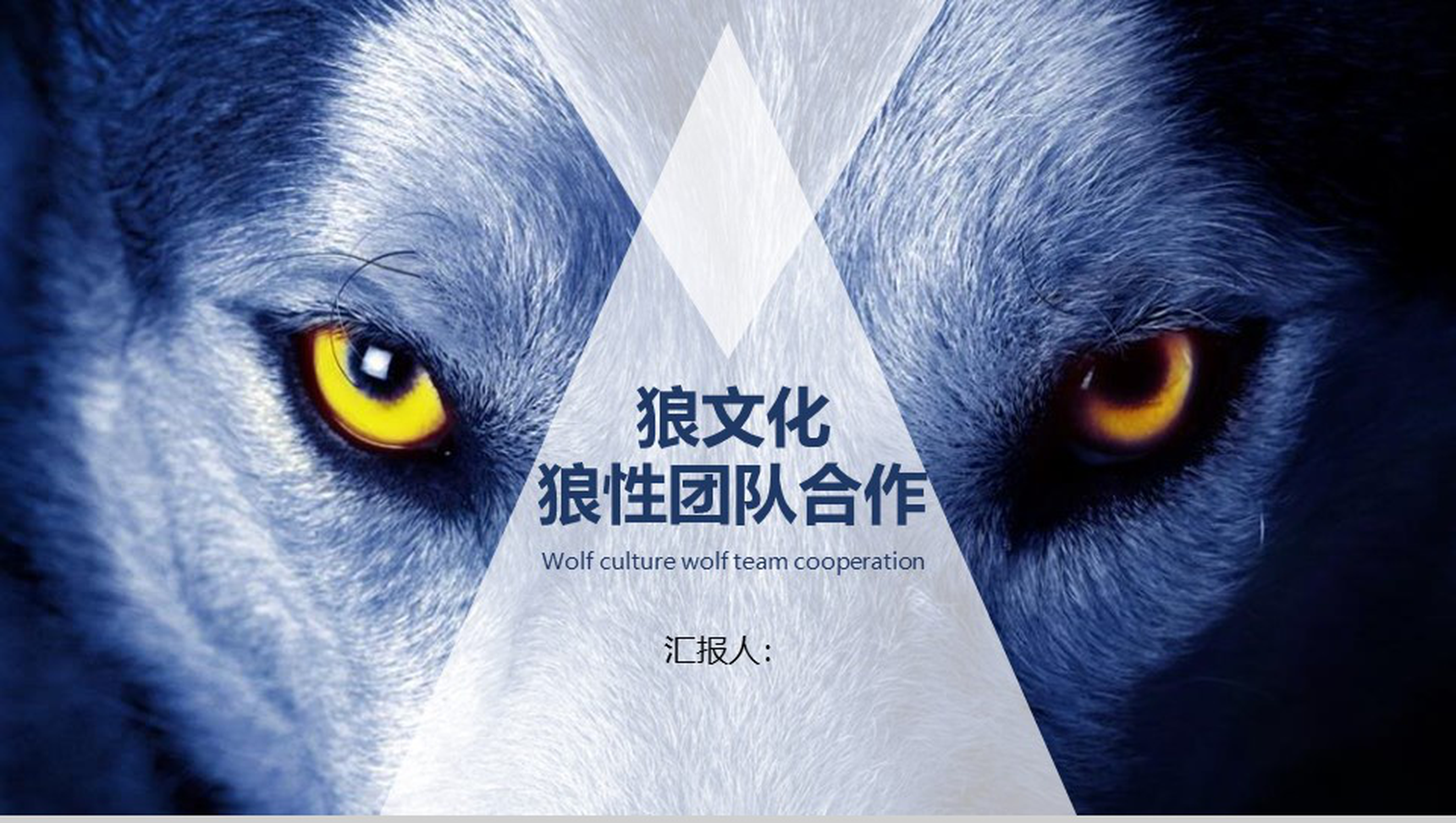 狼性团队合作团队精神PPT模板