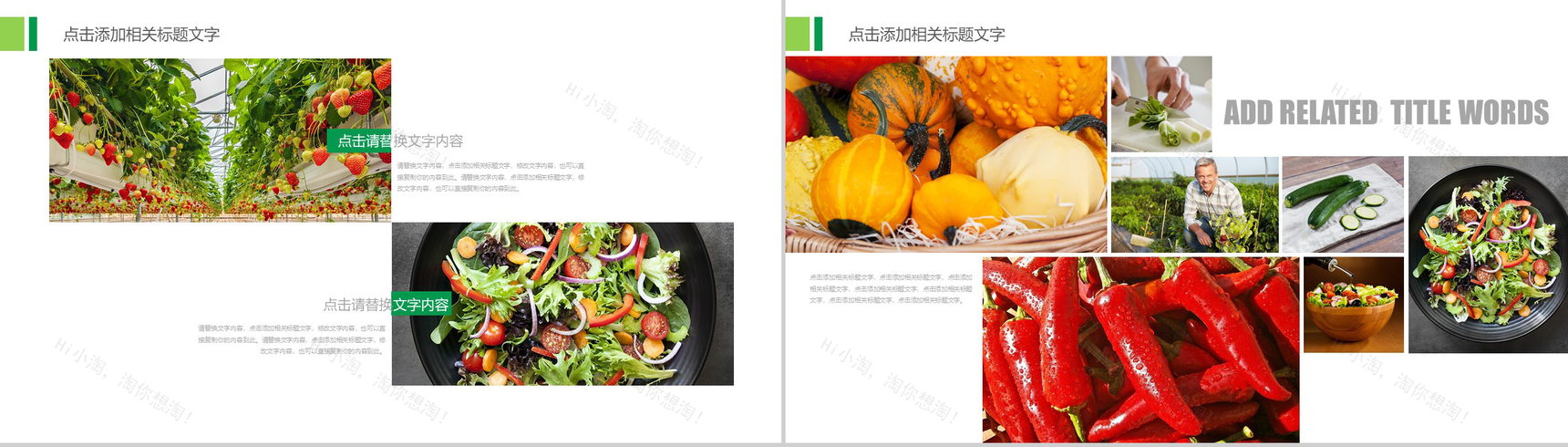 简约大气农业招商农产品宣传PPT模板-6