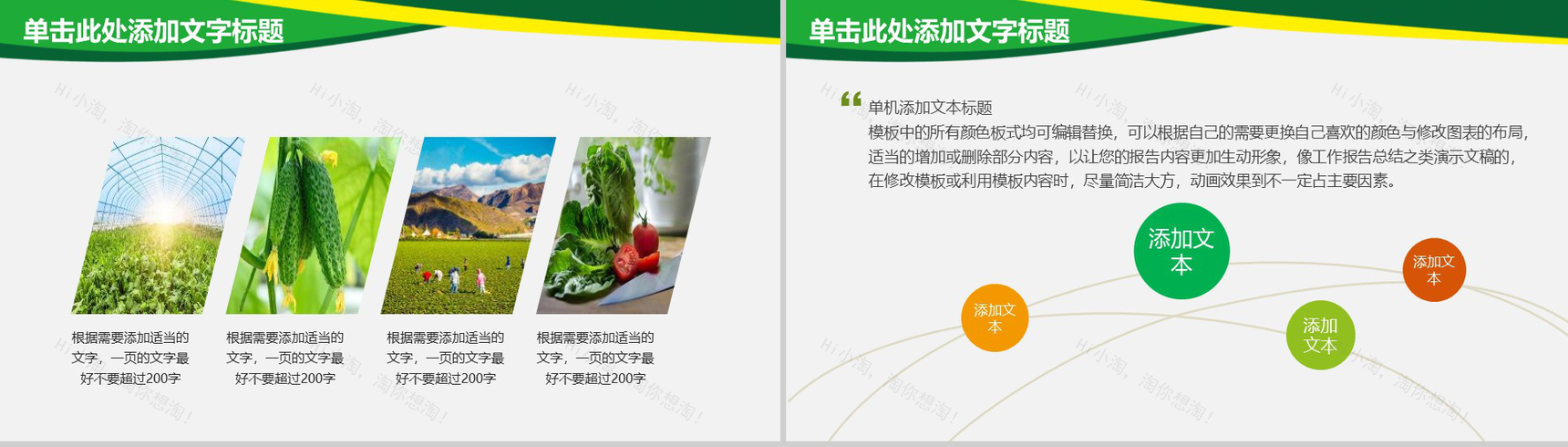 农业水稻玉米小麦农产品推广PPT模板-4