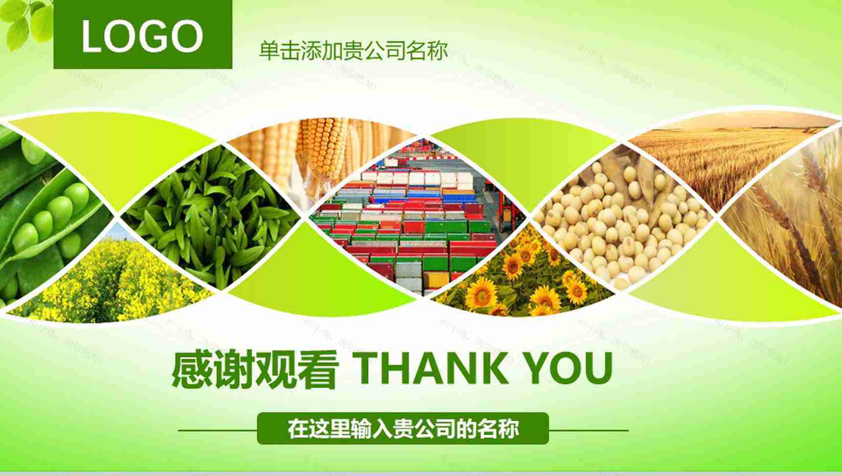 农业生产种植动态PPT模板-13