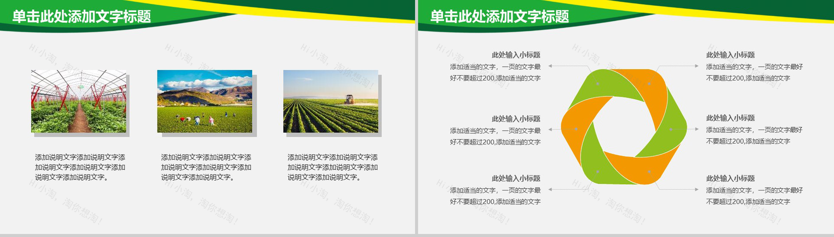 农业水稻玉米小麦农产品推广PPT模板-9