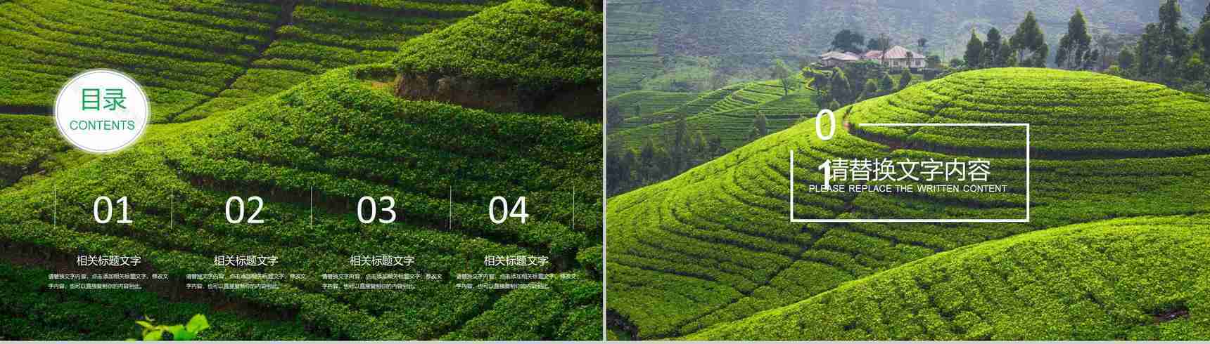 农业招商农产品宣传动态PPT模板-2