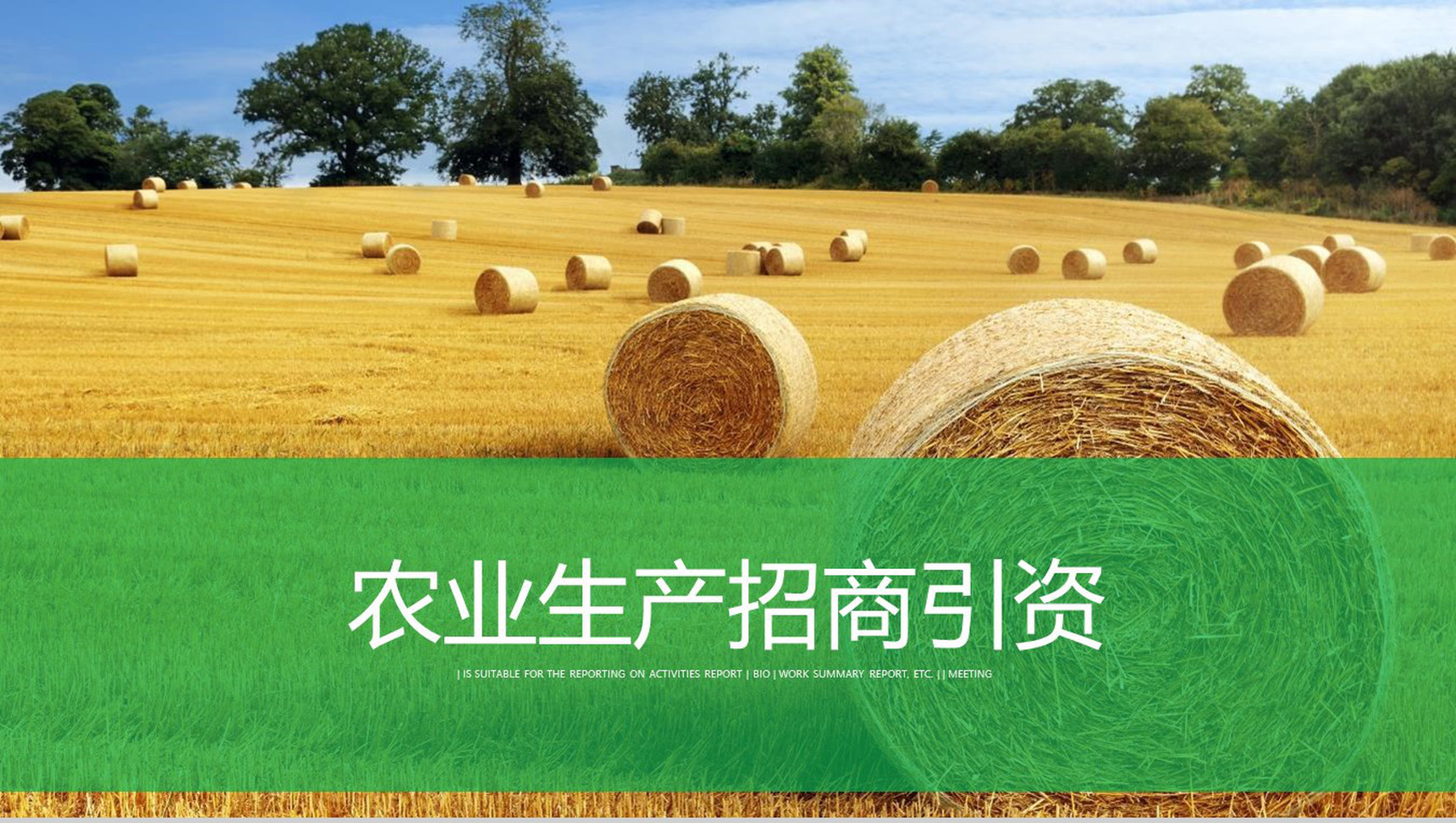 农业生产招商引资农产品宣传PPT模板
