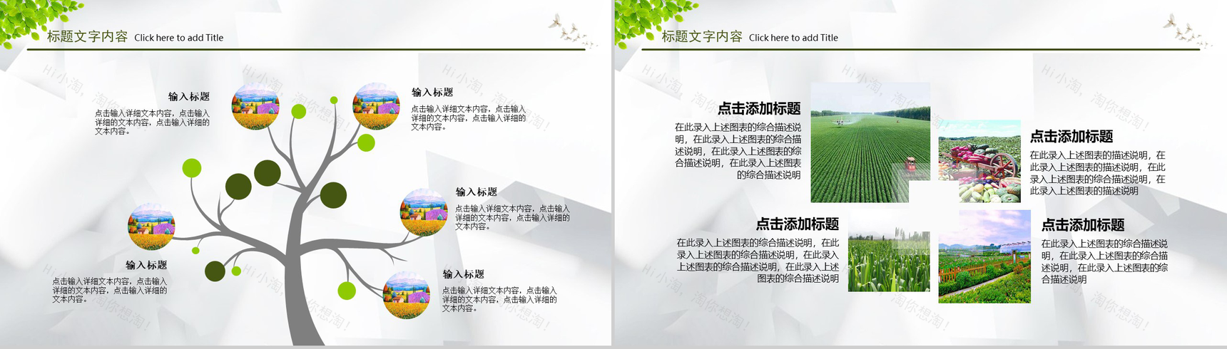 绿色农业生产种植产品介绍PPT模板-9