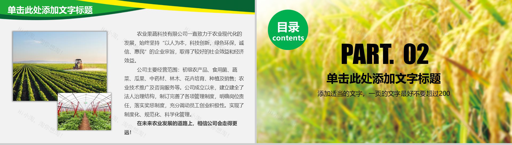 农业水稻玉米小麦农产品推广PPT模板-5