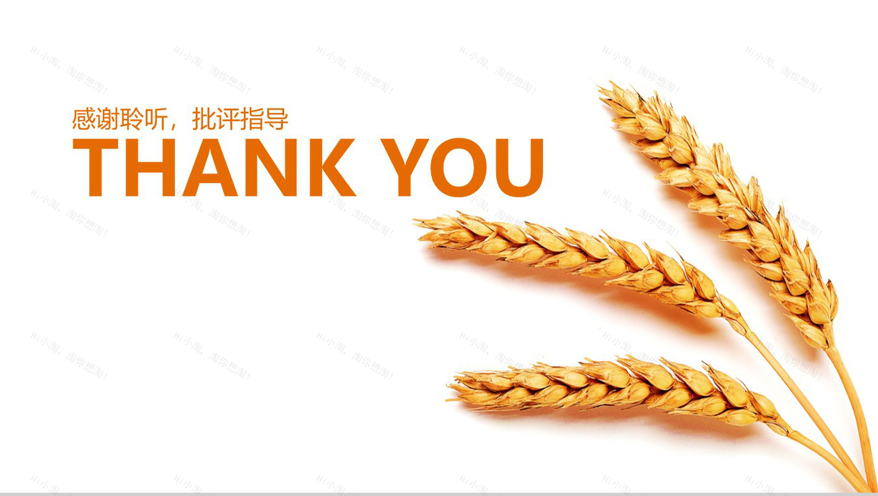 农业种植农产品推广展示PPT模板-13