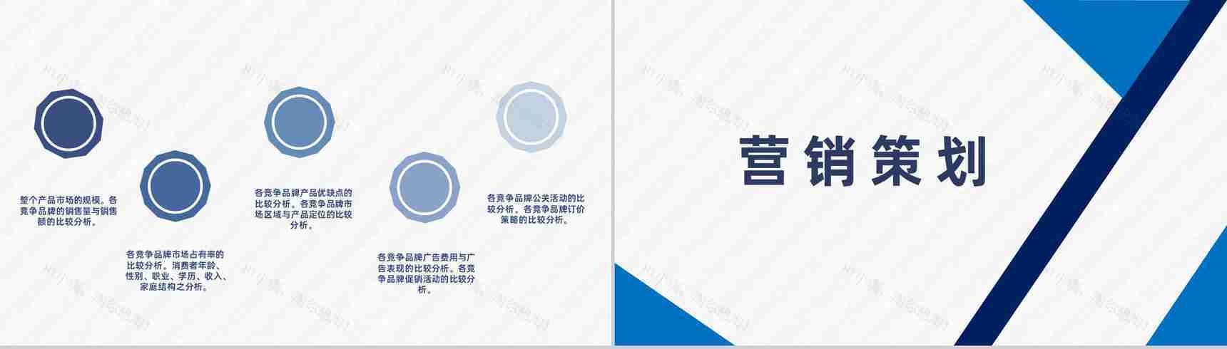 市场营销策划项目融资商业计划书推广战略规划PPT模板-6