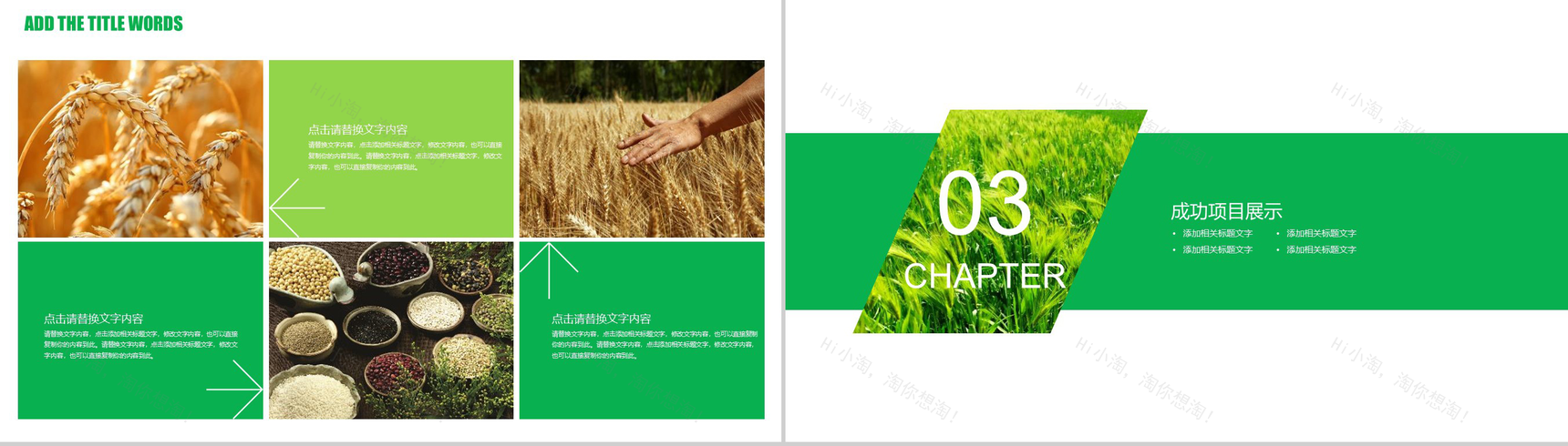 农业生产招商引资农产品宣传PPT模板-7