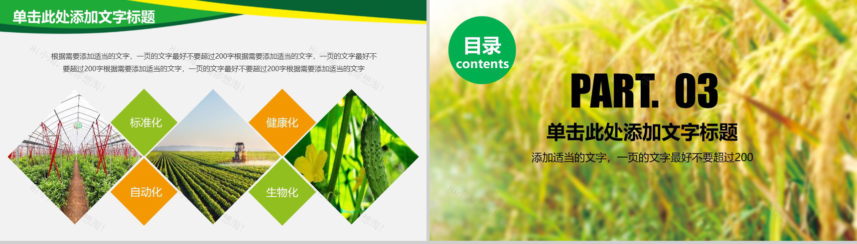 农业水稻玉米小麦农产品推广PPT模板-8