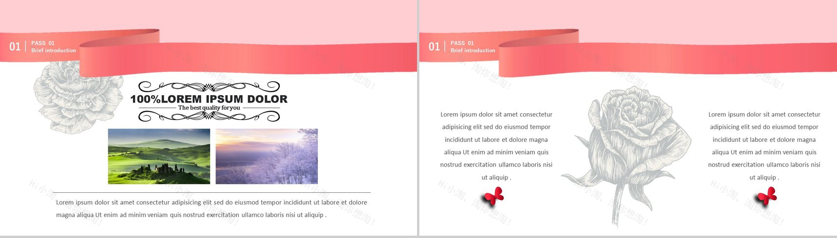 小清新花朵欧美唯美商业计划书PPT模板-3