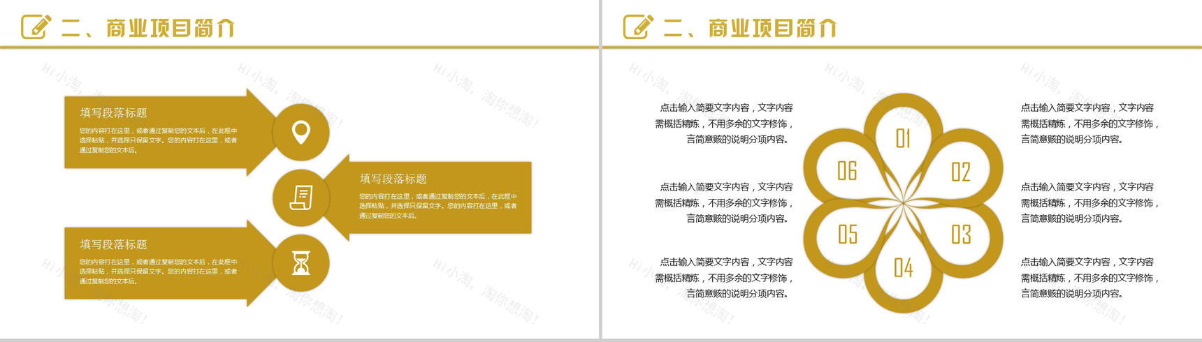 黑金霸气商务策划方案计划书PPT模板-7