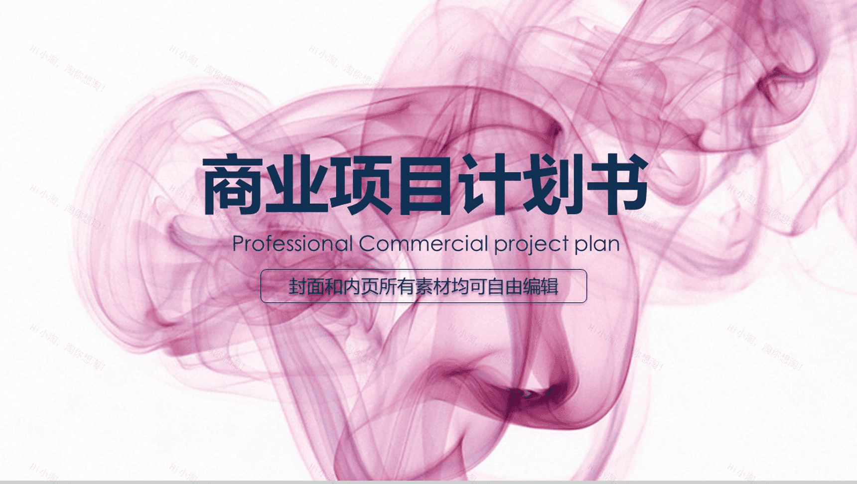 公司商业项目计划书PPT模板-1