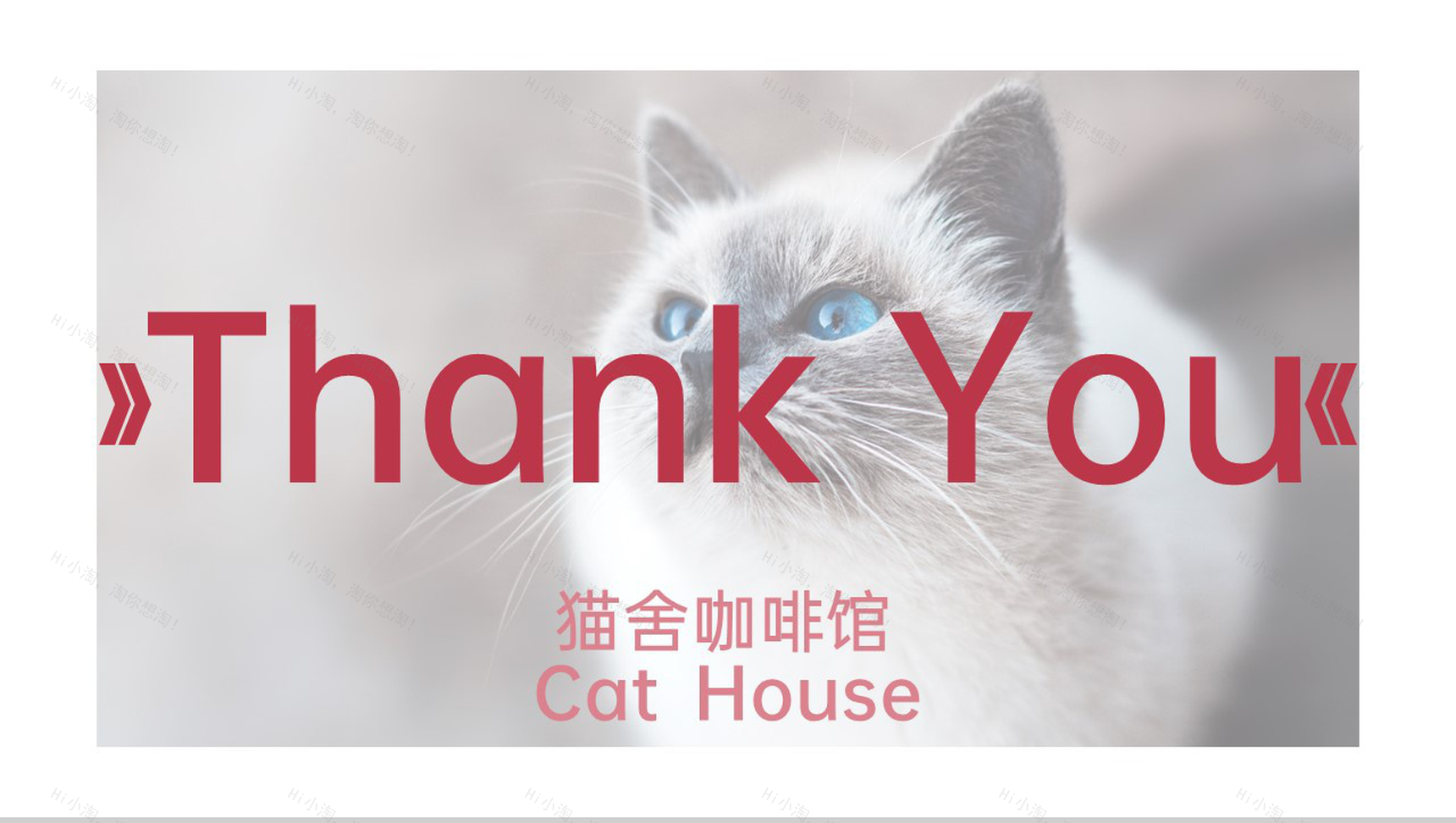 粉色简约风猫舍咖啡馆创业招商计划书PPT模板-13