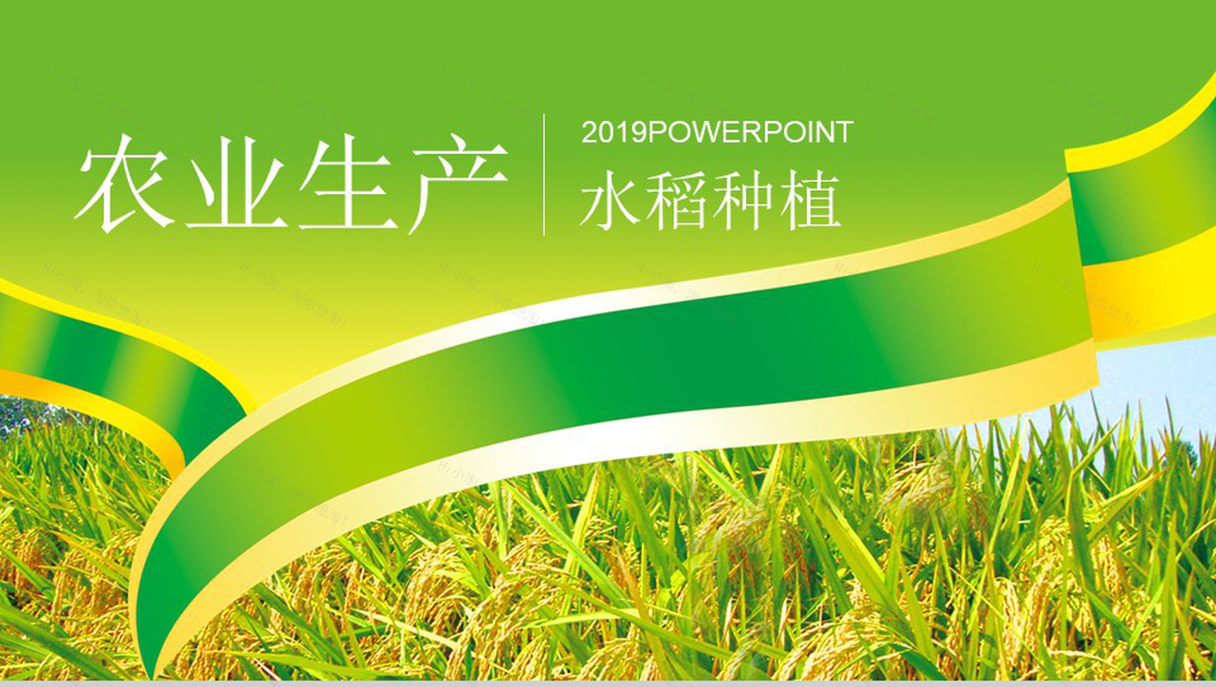 农产品生产水稻种植PPT模板-1