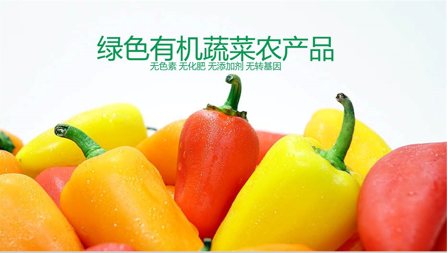 绿色有机蔬菜农产品PPT模板