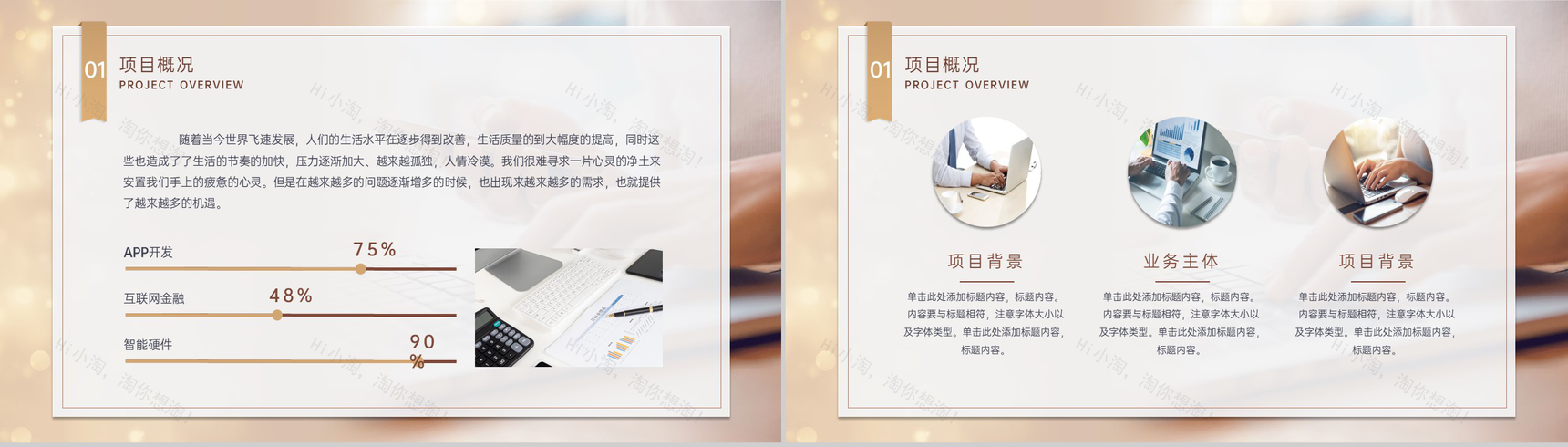 商务风大学生创业计划书市场前景分析战略规划PPT模板-3