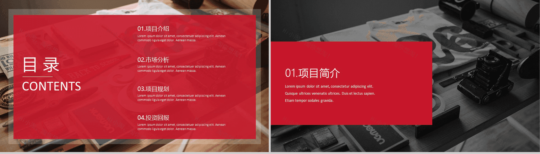 20XX欧美商务计划书计划总结PPT模板-2